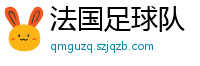 法国足球队